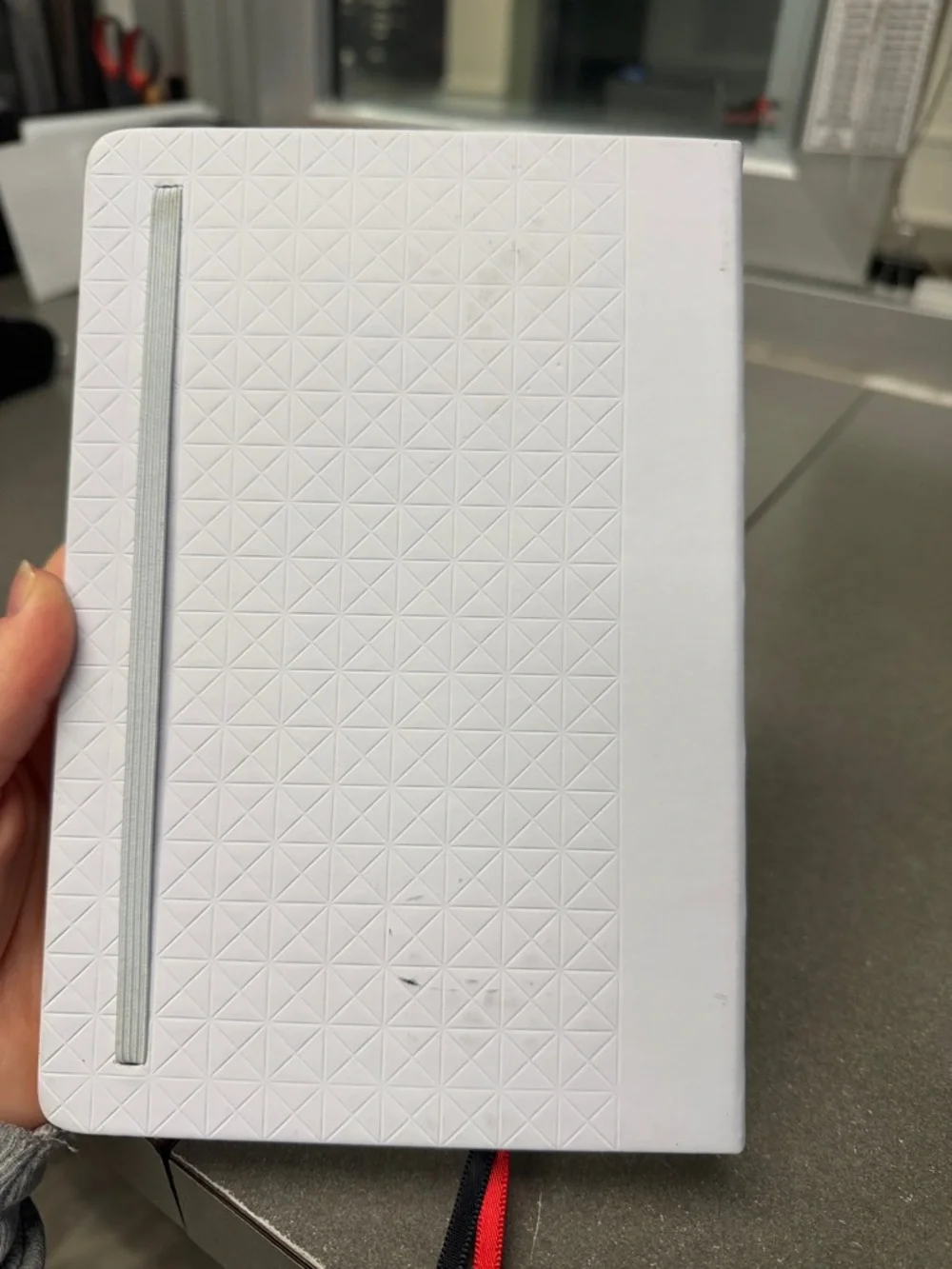 Lululemon Membership Bullet Journal